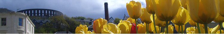 McCaigs Tower, Oban, in Spring