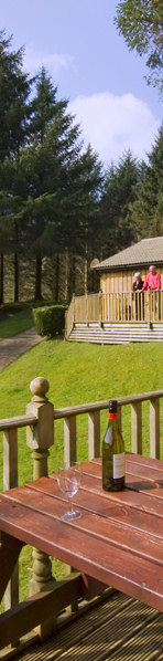 View from Ash Lodge