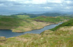 Forestry Commission Walk